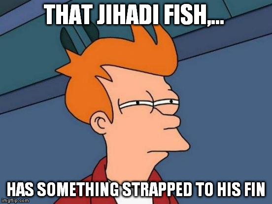 Futurama Fry Meme | THAT JIHADI FISH,... HAS SOMETHING STRAPPED TO HIS FIN | image tagged in memes,futurama fry | made w/ Imgflip meme maker