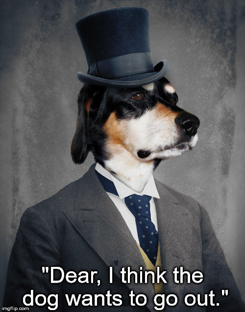 Dog Wants To Go Out 1 | "Dear, I think the dog wants to go out." | image tagged in dog,top hat,formal attire,suit,jacket,go out | made w/ Imgflip meme maker