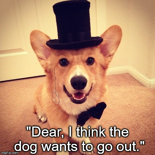 Dog Wants To Go Out 2 | "Dear, I think the dog wants to go out." | image tagged in dog,corgi,top hat,tie,formal,hat | made w/ Imgflip meme maker