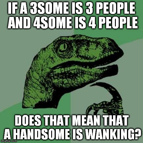 Philosoraptor | IF A 3SOME IS 3 PEOPLE AND 4SOME IS 4 PEOPLE DOES THAT MEAN THAT A HANDSOME IS WANKING? | image tagged in memes,philosoraptor | made w/ Imgflip meme maker