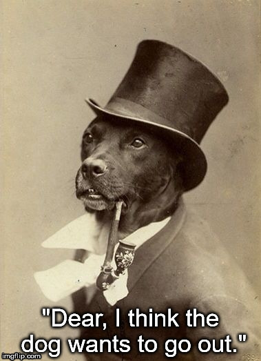 Dog Wants To Go Out 3 | "Dear, I think the dog wants to go out." | image tagged in dog,go out,top hat,suit,formal,hat | made w/ Imgflip meme maker