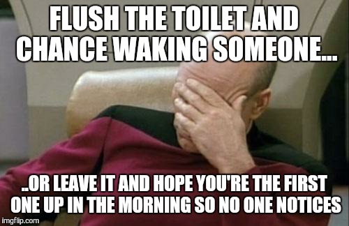 Captain Picard Facepalm | FLUSH THE TOILET AND CHANCE WAKING SOMEONE... ..OR LEAVE IT AND HOPE YOU'RE THE FIRST ONE UP IN THE MORNING SO NO ONE NOTICES | image tagged in memes,captain picard facepalm | made w/ Imgflip meme maker