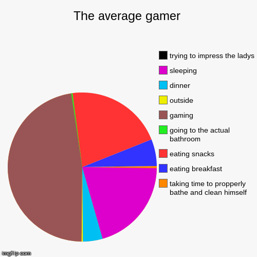 average gamer | image tagged in funny,pie charts,average,gamer | made w/ Imgflip chart maker