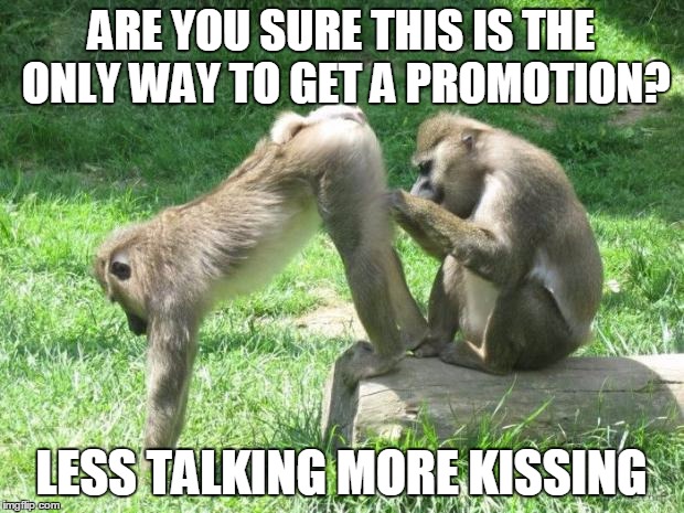 monkeyass | ARE YOU SURE THIS IS THE ONLY WAY TO GET A PROMOTION? LESS TALKING MORE KISSING | image tagged in monkeyass,promotion | made w/ Imgflip meme maker