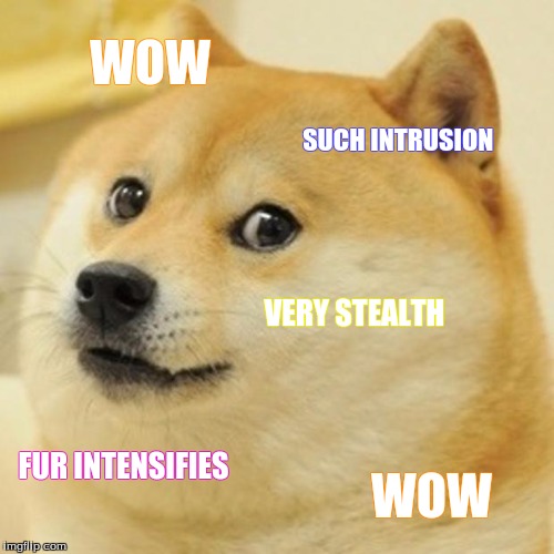 Doge | WOW SUCH INTRUSION VERY STEALTH FUR INTENSIFIES WOW | image tagged in memes,doge | made w/ Imgflip meme maker