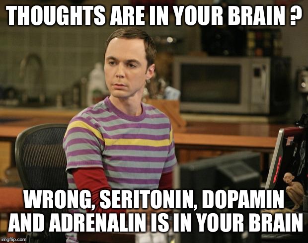 Sheldon Cooper Psychic Vortex | THOUGHTS ARE IN YOUR BRAIN ? WRONG, SERITONIN, DOPAMIN AND ADRENALIN IS IN YOUR BRAIN | image tagged in sheldon cooper psychic vortex | made w/ Imgflip meme maker