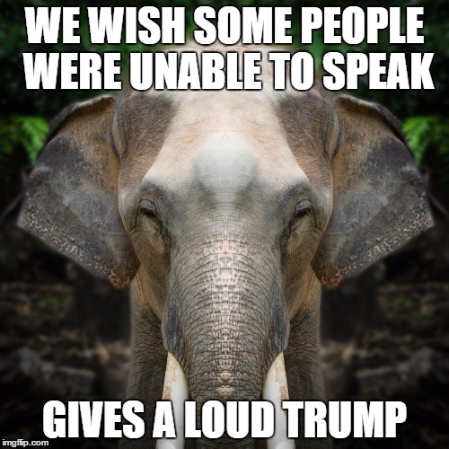 WE WISH SOME PEOPLE WERE UNABLE TO SPEAK GIVES A LOUD TRUMP | made w/ Imgflip meme maker