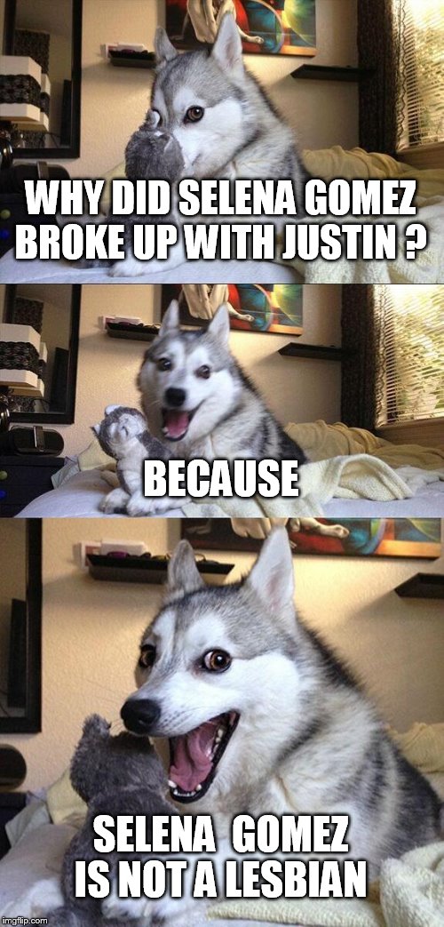Bad Pun Dog Meme | WHY DID SELENA GOMEZ BROKE UP WITH JUSTIN ? BECAUSE SELENA  GOMEZ IS NOT A LESBIAN | image tagged in memes,bad pun dog | made w/ Imgflip meme maker