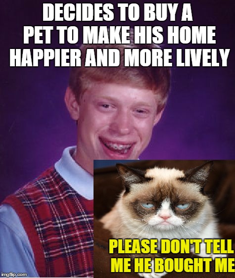 Bad Luck Brian | DECIDES TO BUY A PET TO MAKE HIS HOME HAPPIER AND MORE LIVELY PLEASE DON'T TELL ME HE BOUGHT ME | image tagged in memes,bad luck brian,grumpy cat,bad luck,pets | made w/ Imgflip meme maker