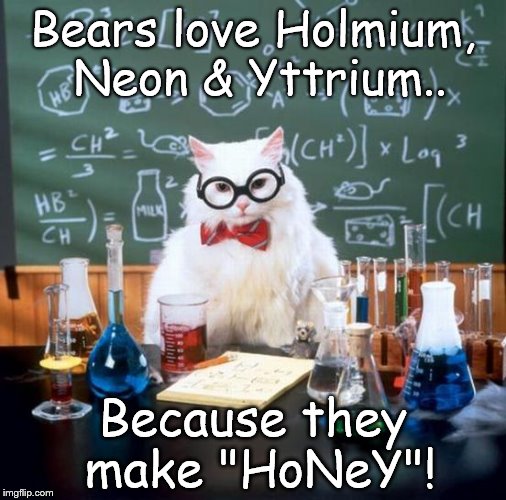 Chemistry Cat | Bears love Holmium, Neon & Yttrium.. Because they make "HoNeY"! | image tagged in memes,chemistry cat,honey,bear,neon,love | made w/ Imgflip meme maker