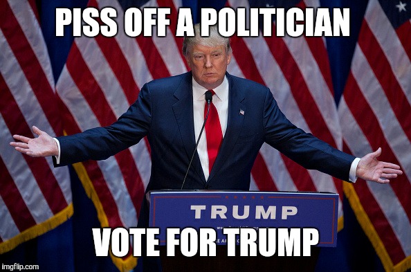 Donald Trump | PISS OFF A POLITICIAN VOTE FOR TRUMP | image tagged in donald trump | made w/ Imgflip meme maker