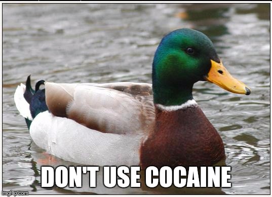 Actual Advice Mallard Meme | DON'T USE COCAINE | image tagged in memes,actual advice mallard,AdviceAnimals | made w/ Imgflip meme maker