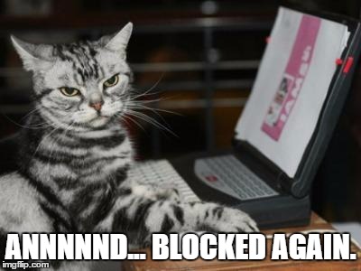 Cat computer | ANNNNND... BLOCKED AGAIN. | image tagged in cat computer | made w/ Imgflip meme maker