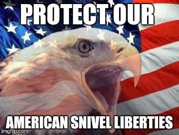Land of the free...ish | PROTECT OUR AMERICAN SNIVEL LIBERTIES | image tagged in patriotic eagle | made w/ Imgflip meme maker
