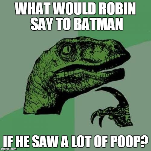 Philosoraptor | WHAT WOULD ROBIN SAY TO BATMAN IF HE SAW A LOT OF POOP? | image tagged in memes,philosoraptor | made w/ Imgflip meme maker