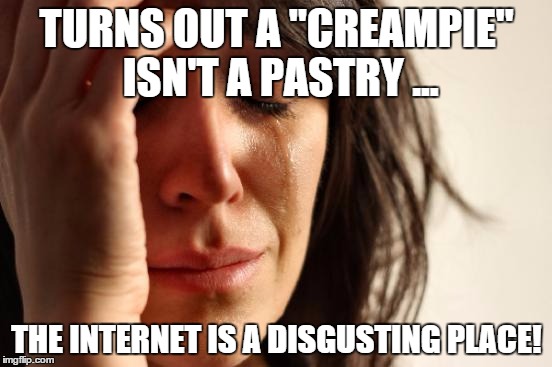 First World Problems | TURNS OUT A "CREAMPIE" ISN'T A PASTRY ... THE INTERNET IS A DISGUSTING PLACE! | image tagged in memes,first world problems | made w/ Imgflip meme maker