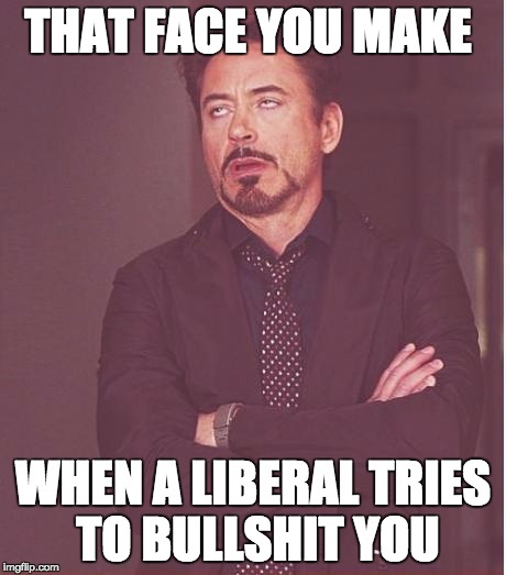 Face You Make Robert Downey Jr | THAT FACE YOU MAKE WHEN A LIBERAL TRIES TO BULLSHIT YOU | image tagged in memes,face you make robert downey jr | made w/ Imgflip meme maker