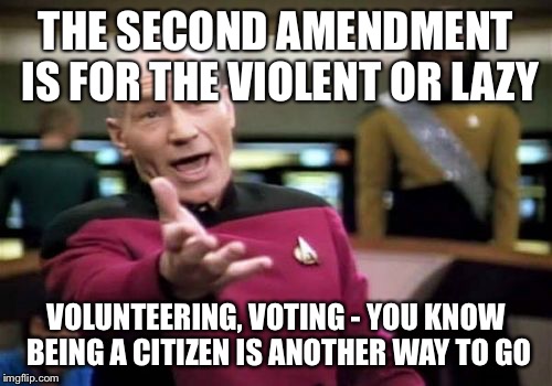 Picard Wtf Meme | THE SECOND AMENDMENT IS FOR THE VIOLENT OR LAZY VOLUNTEERING, VOTING - YOU KNOW BEING A CITIZEN IS ANOTHER WAY TO GO | image tagged in memes,picard wtf | made w/ Imgflip meme maker