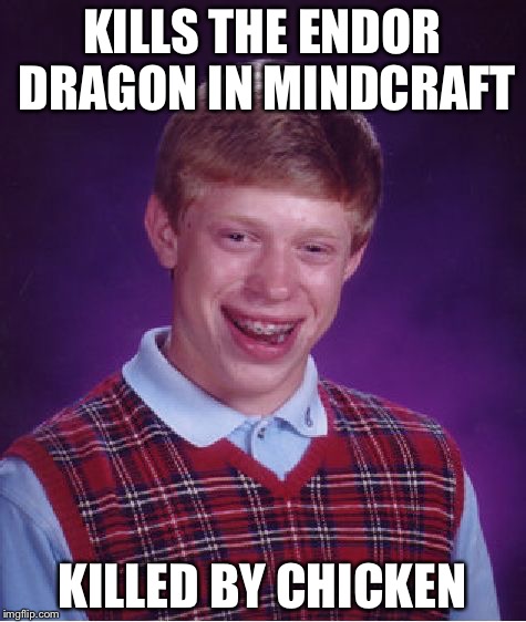 Bad Luck Brian Meme | KILLS THE ENDOR DRAGON IN MINDCRAFT KILLED BY CHICKEN | image tagged in memes,bad luck brian | made w/ Imgflip meme maker