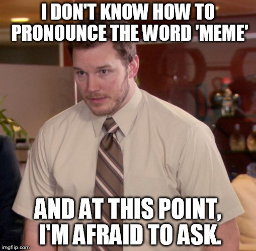 Afraid To Ask Andy | I DON'T KNOW HOW TO PRONOUNCE THE WORD 'MEME' AND AT THIS POINT, I'M AFRAID TO ASK. | image tagged in memes,afraid to ask andy | made w/ Imgflip meme maker