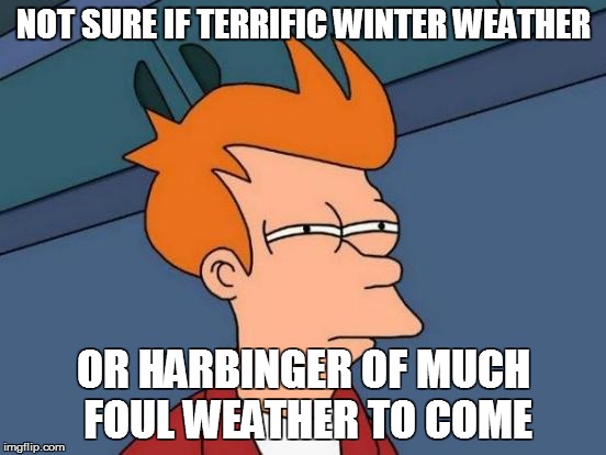 Futurama Fry Meme | NOT SURE IF TERRIFIC WINTER WEATHER OR HARBINGER OF MUCH FOUL WEATHER TO COME | image tagged in memes,futurama fry | made w/ Imgflip meme maker