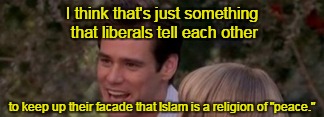 I think that's just something that liberals tell each other to keep up their facade that Islam is a religion of "peace." | made w/ Imgflip meme maker