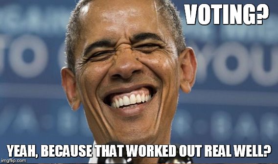 VOTING? YEAH, BECAUSE THAT WORKED OUT REAL WELL? | made w/ Imgflip meme maker
