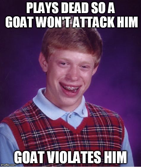 Bad Luck Brian Meme | PLAYS DEAD SO A GOAT WON'T ATTACK HIM GOAT VIOLATES HIM | image tagged in memes,bad luck brian | made w/ Imgflip meme maker