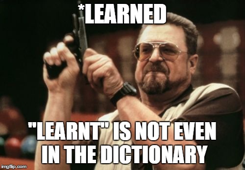 Am I The Only One Around Here Meme | *LEARNED "LEARNT" IS NOT EVEN IN THE DICTIONARY | image tagged in memes,am i the only one around here | made w/ Imgflip meme maker