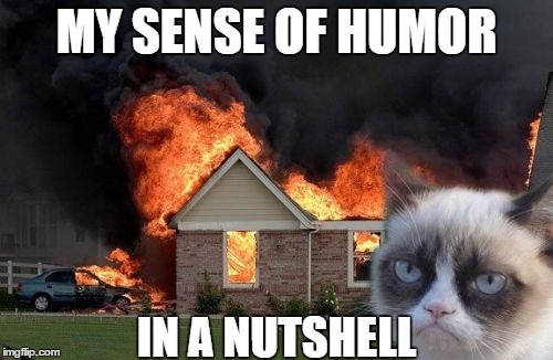 Well, That's that... | MY SENSE OF HUMOR IN A NUTSHELL | image tagged in memes,burn kitty,sense of humor,grumpy cat | made w/ Imgflip meme maker