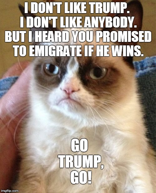 Another take on donald trump possibly winning | I DON'T LIKE TRUMP. I DON'T LIKE ANYBODY. BUT I HEARD YOU PROMISED TO EMIGRATE IF HE WINS. GO TRUMP, GO! | image tagged in memes,grumpy cat,trump,donald trump | made w/ Imgflip meme maker