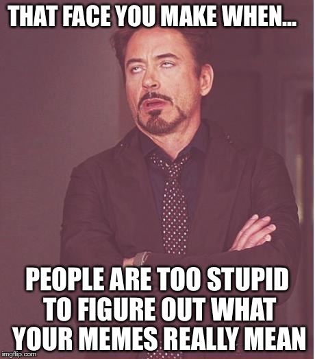 Face You Make Robert Downey Jr Meme | THAT FACE YOU MAKE WHEN... PEOPLE ARE TOO STUPID TO FIGURE OUT WHAT YOUR MEMES REALLY MEAN | image tagged in memes,face you make robert downey jr | made w/ Imgflip meme maker