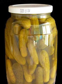 Pickles Blank Meme Template