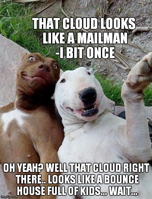 Just watchin the clouds go by | THAT CLOUD LOOKS LIKE A MAILMAN -I BIT ONCE OH YEAH? WELL THAT CLOUD RIGHT THERE.. LOOKS LIKE A BOUNCE HOUSE FULL OF KIDS... WAIT... | image tagged in bounce house,funny dogs,clouds,funny | made w/ Imgflip meme maker