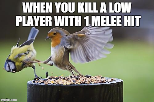 Bird Sparta | WHEN YOU KILL A LOW PLAYER WITH 1 MELEE HIT | image tagged in bird sparta | made w/ Imgflip meme maker