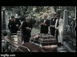 vm5ee.gif