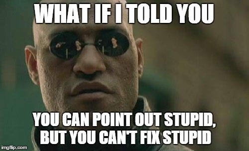 Matrix Morpheus Meme | WHAT IF I TOLD YOU YOU CAN POINT OUT STUPID, BUT YOU CAN'T FIX STUPID | image tagged in memes,matrix morpheus | made w/ Imgflip meme maker