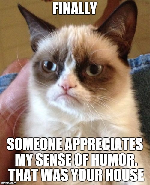 Grumpy Cat Meme | FINALLY SOMEONE APPRECIATES MY SENSE OF HUMOR. THAT WAS YOUR HOUSE | image tagged in memes,grumpy cat | made w/ Imgflip meme maker