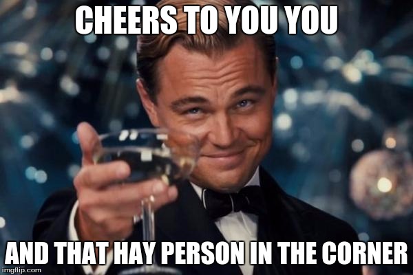 Leonardo Dicaprio Cheers | CHEERS TO YOU YOU AND THAT HAY PERSON IN THE CORNER | image tagged in memes,leonardo dicaprio cheers | made w/ Imgflip meme maker