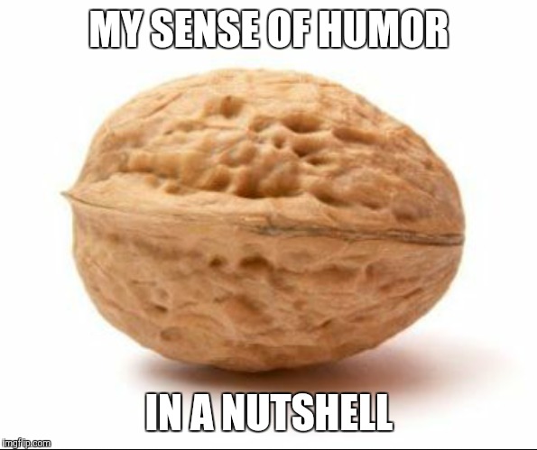 MY SENSE OF HUMOR IN A NUTSHELL | made w/ Imgflip meme maker