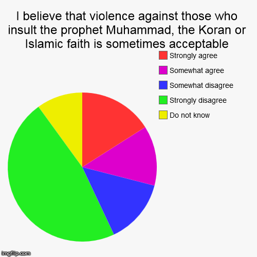 Nation wide poll of American Muslims 2015 | image tagged in funny,pie charts,islam | made w/ Imgflip chart maker
