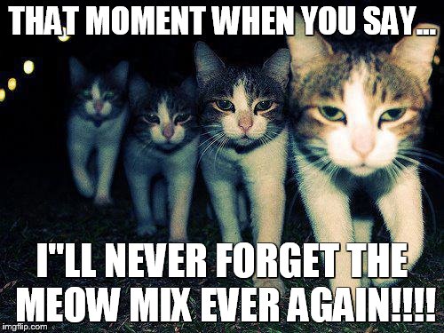 Wrong Neighboorhood Cats | THAT MOMENT WHEN YOU SAY... I''LL NEVER FORGET THE MEOW MIX EVER AGAIN!!!! | image tagged in memes,wrong neighboorhood cats | made w/ Imgflip meme maker
