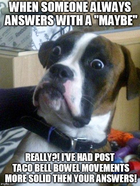 Suprised Boxer | WHEN SOMEONE ALWAYS ANSWERS WITH A "MAYBE" REALLY?! I'VE HAD POST TACO BELL BOWEL MOVEMENTS MORE SOLID THEN YOUR ANSWERS! | image tagged in suprised boxer | made w/ Imgflip meme maker