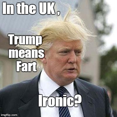 The king of all "Air Biscuits" :) | In the UK , Trump means Fart Ironic? | image tagged in donald trump | made w/ Imgflip meme maker