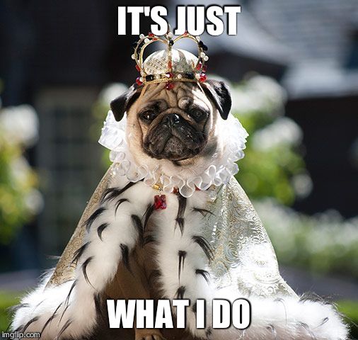 Pug king | IT'S JUST WHAT I DO | image tagged in pug king | made w/ Imgflip meme maker