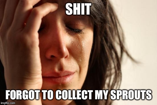 First World Problems | SHIT FORGOT TO COLLECT MY SPROUTS | image tagged in memes,first world problems | made w/ Imgflip meme maker