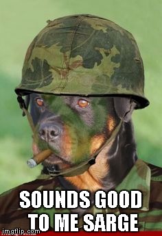 SOUNDS GOOD TO ME SARGE | made w/ Imgflip meme maker