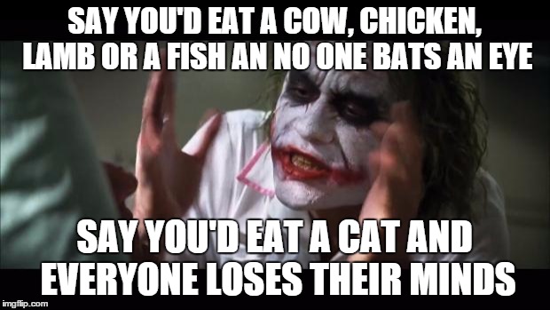 And everybody loses their minds | SAY YOU'D EAT A COW, CHICKEN, LAMB OR A FISH AN NO ONE BATS AN EYE SAY YOU'D EAT A CAT AND EVERYONE LOSES THEIR MINDS | image tagged in memes,and everybody loses their minds | made w/ Imgflip meme maker