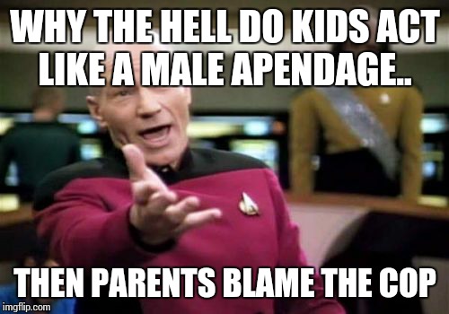 Picard Wtf Meme | WHY THE HELL DO KIDS ACT LIKE A MALE APENDAGE.. THEN PARENTS BLAME THE COP | image tagged in memes,picard wtf | made w/ Imgflip meme maker