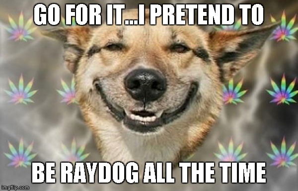 GO FOR IT...I PRETEND TO BE RAYDOG ALL THE TIME | made w/ Imgflip meme maker